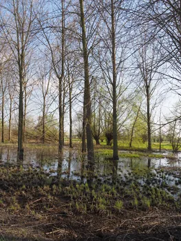 Kalkense Meersen (België)